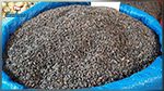 نابل : حجز 1.5 طن من مادة 