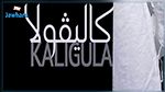 اليوم : الفاضل الجزيري يقدم العرض الأول لمسرحية 