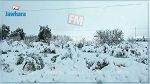 تعليق الدروس في ولاية الكاف 
