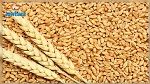 توزيع 9 آلاف قنطار من بذور القمح مجانا على صغار الفلاحين