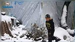 وفاة 29 طفلا في مخيم 'الهول' من شدّة البرد 
