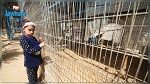 بسبب حصار اسرائيل  : اجلاء حيوانات حديقة غزة (فيديو)