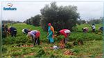 بداية من الغد..انطلاق العمل بمنظومة 