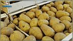 قريش بلغيث : توريد البطاطا من مصر سوء تقدير من الوزير 