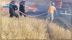 سليانة : السيطرة على حريقين نشبا بالمحاصيل الزراعية