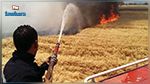 الكاف : النيران تلتهم صابة حبوب