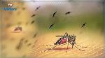 بلدية بوسالم تشرع في حملة مداواة للقضاء على الحشرات