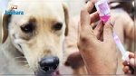 حملات تلقيح مجاني ضد داء الكلب في مختلف الولايات 