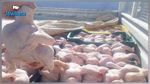 حجز 39 طنا من الدواجن الفاسدة