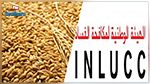 حبوب تحتوي على حشرة 