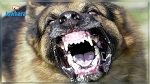 هاجما القوات الأمنية باستعمال كلب: إيقاف عنصرين خطيرين في سوسة