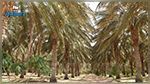  إدراج 