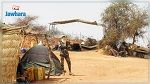 مقتل 31 شخصا في هجوم على قرية في مالي