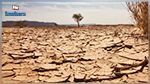 دراسة: ملايين الأشخاص معرضون لخطر الجفاف بسبب تغير المناخ