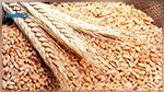 إرتفاع أسعار الحبوب عالميا و تونس تترقب وصول شحنات سابقة