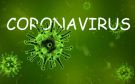 المخابرات الأمريكية : فيروس كورونا 