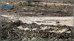 الكاف: تساقط البرد يخلف أضرارا متفاوتة (صور)