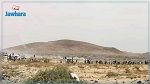قبلي : عودة الهدوء عقب الاشتباكات بين قريتي طمبار والمنشية