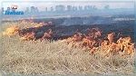بنزرت : نشوب حريق في أرض فلاحية