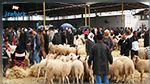 فائض ب 45 % في أضاحي العيد 