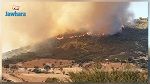غار الدماء: عدم السيطرة على حريق أتى على مساحات شاسعة من أشجار الصنوبر 