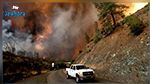 كاليفورنيا تشهد إحدى أكبر حرائق الغابات في تاريخها