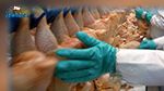 الصين تتهم البرازيل بتصدير فيروس كورونا عبر الدجاج