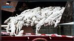 بسبب كورونا : دولة 