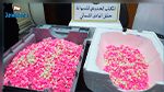 ميناء حلق الوادي : إحباط تهريب 14726 حبة 