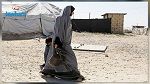 تضم أطفالا ونساء: وصول دفعة ثانية من عائلات مقاتلي داعش