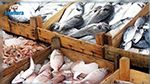 الميزان التجاري لمنتوجات الصيد البحري يحقق فائضا رغم تقلص الانتاج المحلي