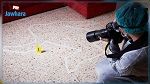 جندوبة : العثور على جثتي شاب وفتاة في شقة