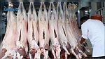 اللحوم بالمسلخ البلدي بالفحص لا تخضع للمراقبة البيطرية