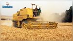 تقدّم موسم  الحصاد على المستوى الوطني ومراجعة أسعار الحبوب 