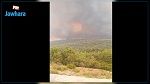 جندوبة: اندلاع حريق هائل بجبال عين دراهم وفرنانة (فيديو)