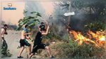 حرائق الجزائر: ارتفاع حصيلة الضحايا 