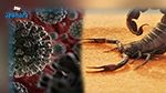 علاقة سم العقارب بكورونا