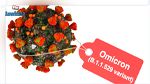 أمراض تخفّف أعراض كورونا
