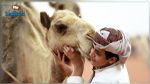 إبرام أكبر صفقة في عالم الإبل (فيديو)