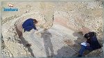 اكتشاف لوحة فسيفسائية في سيدي بوزيد