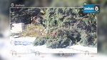 الكاف : أضرار جسيمة بمزارع العنب والأشجار المثمرة جراء الثلوج