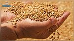 الحرب على أوكرانيا و تأثيرها على تزود تونس بالحبوب : وزارة الفلاحة توضح 