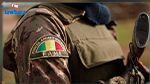 بينهم فرنسي-تونسي: الجيش المالي يقضي على 12 إرهابيًّا 