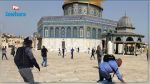 42 جريحا فلسطينيا في حرم المسجد الأقصى بعد صدامات مع قوات الإحتلال