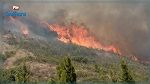 جندوبة: اندلاع حريق بجبل