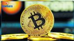 3 أسباب لإنهيار العملات الرقمية.. خسائر فادحة وهل تختفي؟