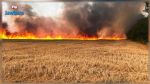 جندوبة : عطب بآلة حصاد يتسبب في  إحتراق 7 هكتارات من حقل قمح
