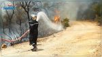 3 وفيات في حرائق بالجزائر