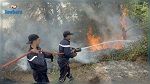 سليانة: السيطرة على حريق هائل بأرض زراعية 