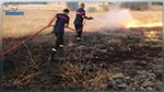 السيطرة على حريق جبل المرة الذى أتى على 180 هكتارا من المساحات الغابية والثروات الفلاحية